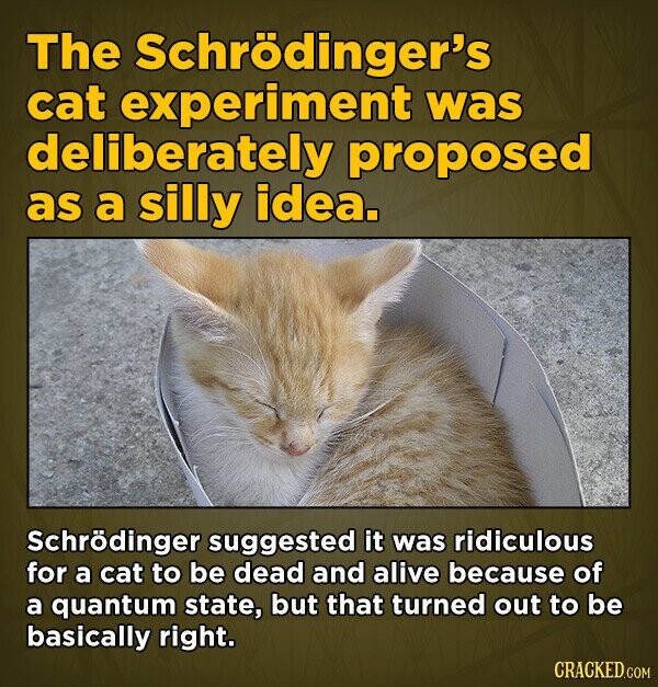The Schrödinger's cat experiment was deliberately proposed as a silly idea. Schrödinger suggested it was ridiculous for a cat to be dead and alive because of a quantum state, but that turned out to be basically right. CRACKED.COM