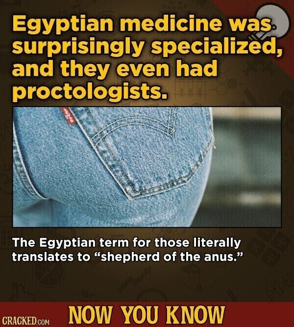 Egyptian medicine was. surprisingly specialized, and they even had proctologists. The Egyptian term for those literally translates to shepherd of the anus. NOW YOU KNOW CRACKED.COM