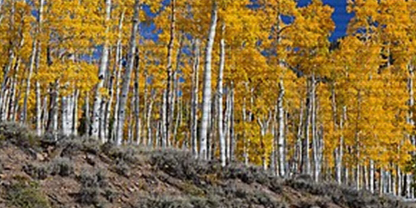 12 Farm-Fresh Trivia Tidbits for Tuesday, November 5, 2024