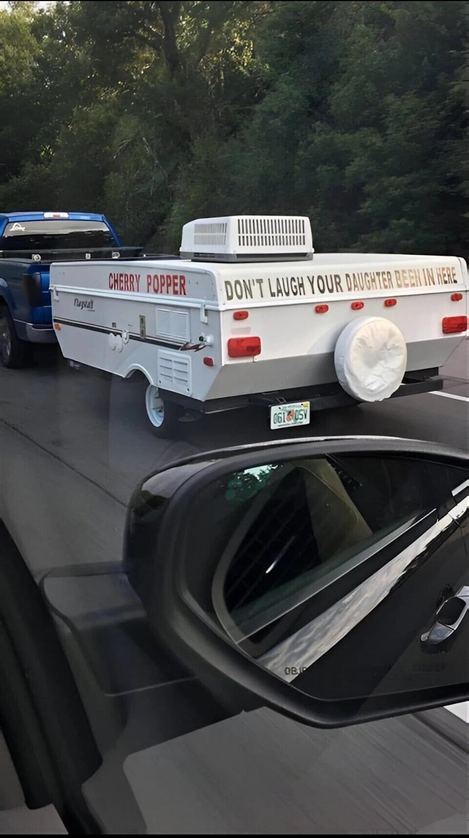 Photos Where Florida Shows Off its True Colors