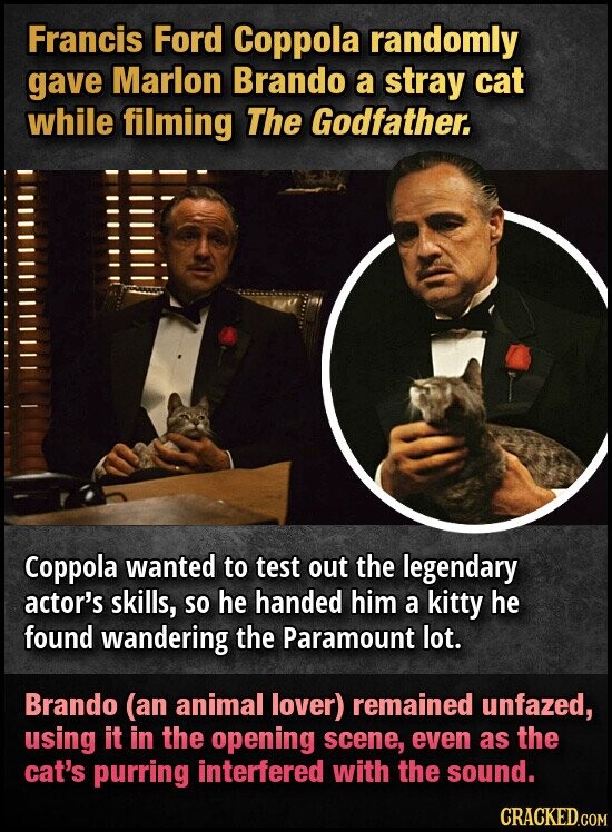 Francis Ford Coppola randomly gave Marlon Brando a stray cat while filming The Godfather. Coppola wanted to test out the legendary actor's skills, so he handed him a kitty he found wandering the Paramount lot. Brando (an animal lover) remained unfazed, using it in the opening scene, even as the cat's purring interfered with the sound. CRACKED.COM