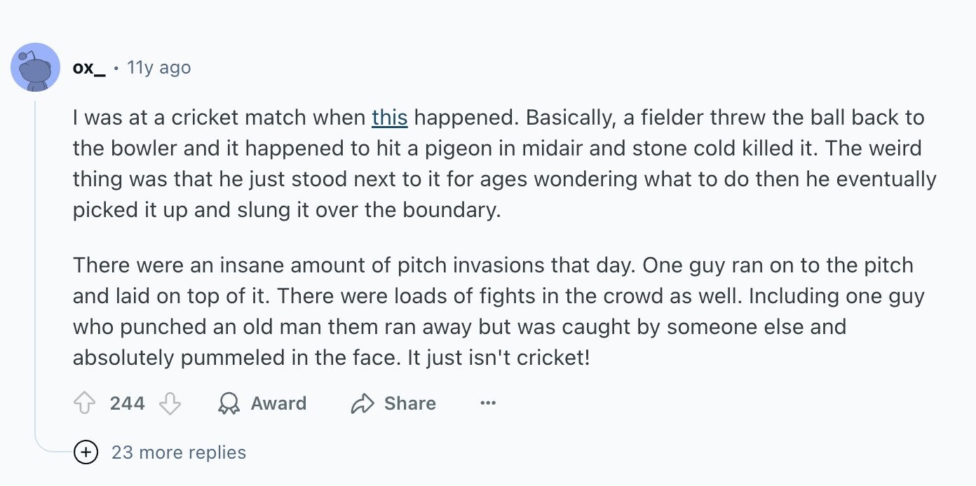 ox_ 11y ago I was at a cricket match when this happened. Basically, a fielder threw the ball back to the bowler and it happened to hit a pigeon in midair and stone cold killed it. The weird thing was that he just stood next to it for ages wondering what to do then he eventually picked it up and slung it over the boundary. There were an insane amount of pitch invasions that day. One guy ran on to the pitch and laid on top of it. There were loads of fights in the crowd as well. Including one