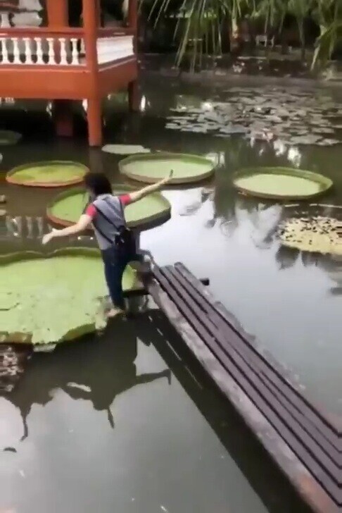 Photos of: If at First You Don't Succeed, Stop Trying