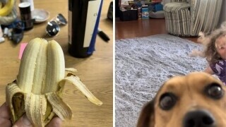 Photos Where Something Came as a Big Surprise