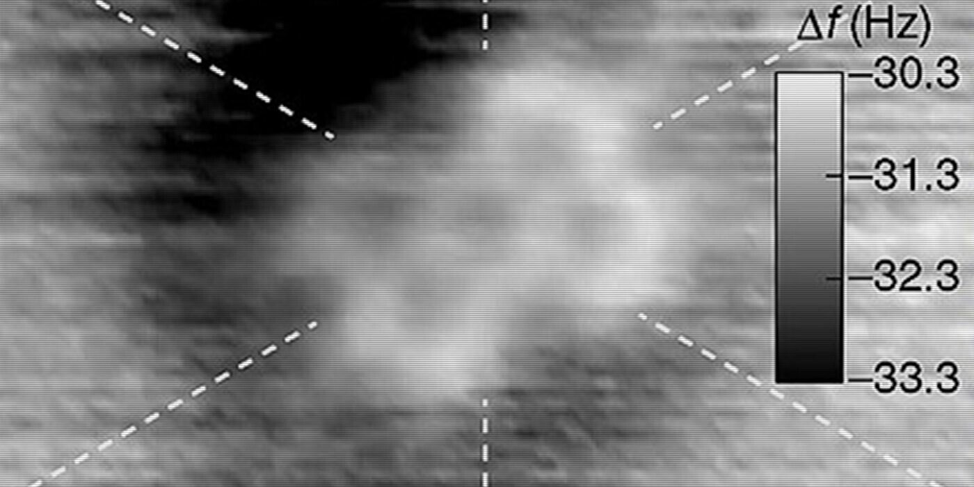 12 Farm-Fresh Trivia Tidbits for Tuesday, November 5, 2024