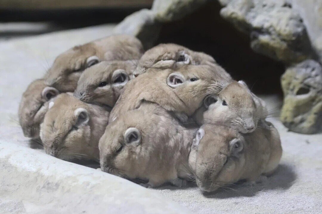 Photos Where the Situation on Hand Needs Analysis