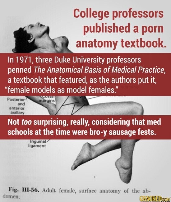 College professors published a porn anatomy textbook. In 1971, three Duke University professors penned The Anatomical Basis of Medical Practice, a textbook that featured, as the authors put it, female models as model females. Costal Posterior margins and anterior axillary Not too surprising, really, considering that med schools at the time were bro-y sausage fests. Inguinal ligament Fig. III-56. Adult female, surface anatomy of the ab- domen. GRACKED.COM