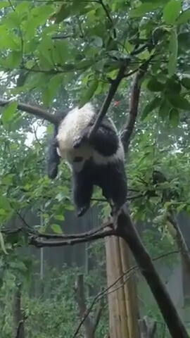 Photos Where Something Came as a Big Surprise