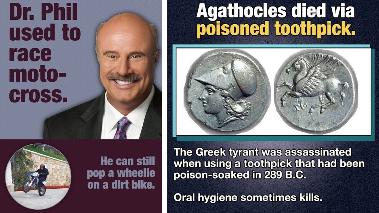 40 Zesty Bits of Trivia That Will Overwhelm Your Brain’s Taste Buds ...