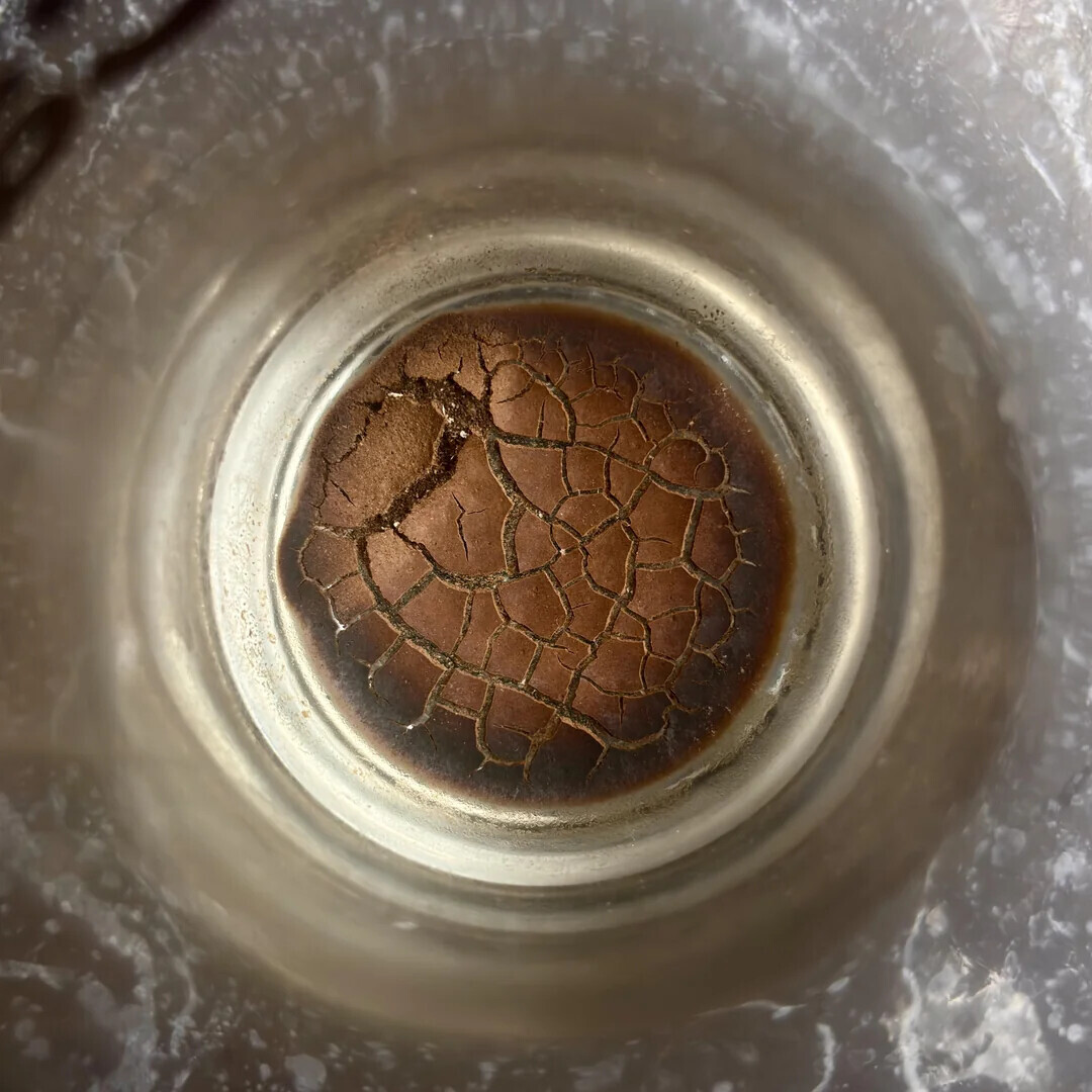 Photos Where Something Came as a Big Surprise