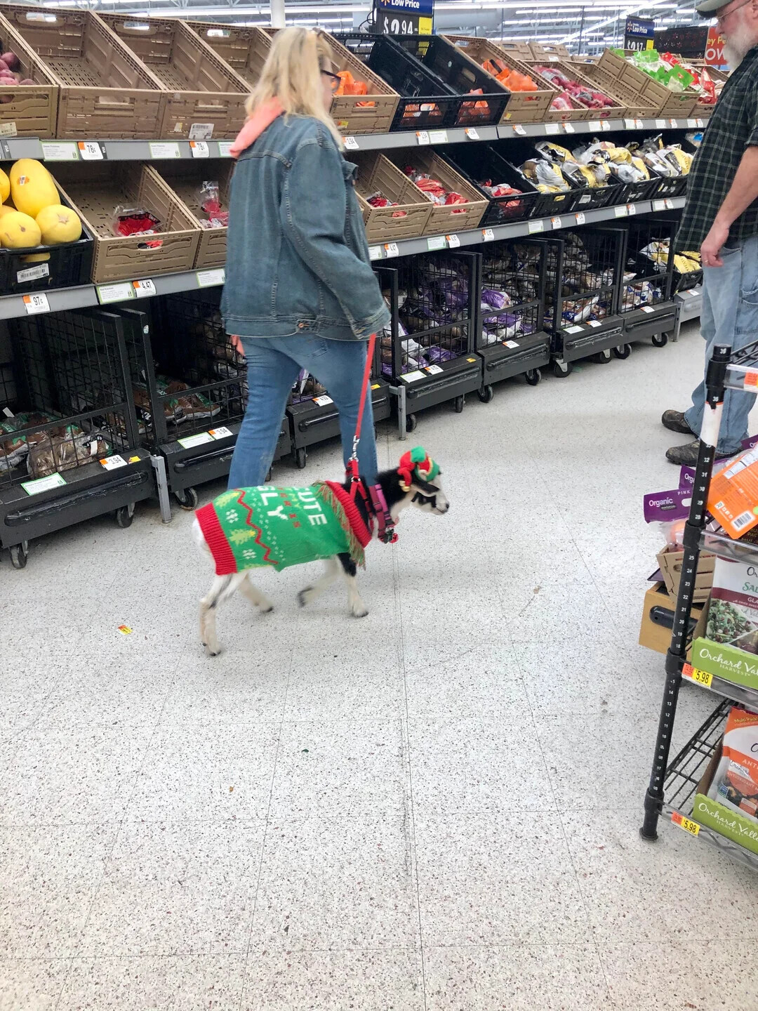 LOW Price Low Prio $9.94 ey Pe ON 4.47 . I Org le PINK UTE GLY Organic GR IN AW 21 a SAL GI Orchard Va HARVEST 5.98 ANT Orchard 5.98 Vall