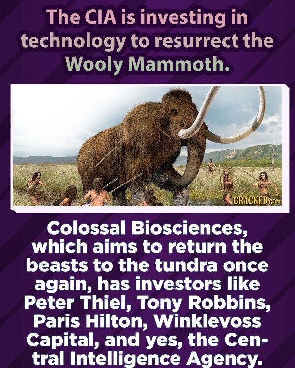 The CIA is investing in technology to resurrect the Wooly Mammoth. CRACKED.COM Colossal Biosciences, which aims to return the beasts to the tundra once again, has investors like Peter Thiel, Tony Robbins, Paris Hilton, Winklevoss Capital, and yes, the Cen- tral Intelligence Agency.