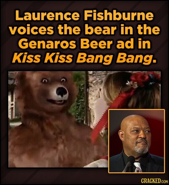 Laurence Fishburne voices the bear in the Genaros Beer ad in Kiss Kiss Bang Bang. CRACKED.COM
