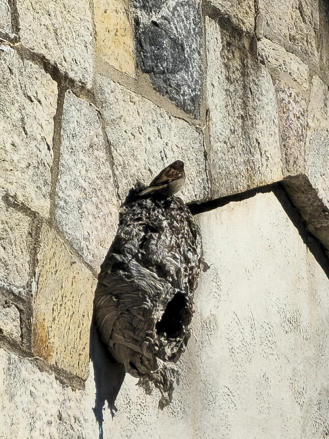 Photos Where Something Came as a Big Surprise