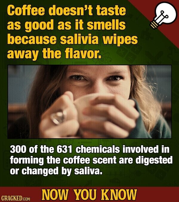 Coffee doesn't taste as good as it smells because salivia wipes away the flavor. 300 of the 631 chemicals involved in forming the coffee scent are digested or changed by saliva. NOW YOU KNOW CRACKED.COM