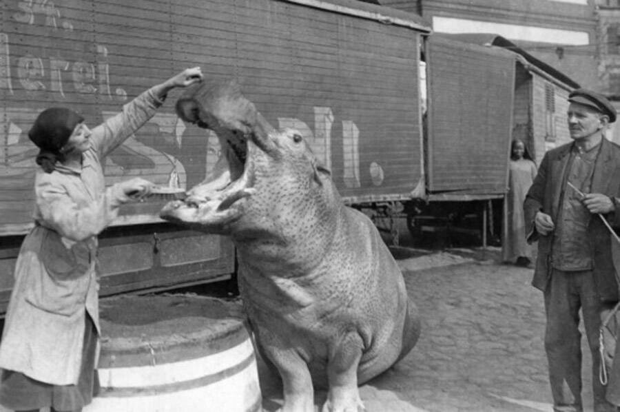 Creepy-Cool Vintage Circus Photos