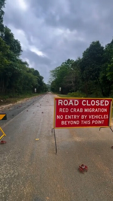 ROAD CLOSED RED CRAB MIGRATION NO ENTRY BY VEHICLES BEYOND THIS POINT
