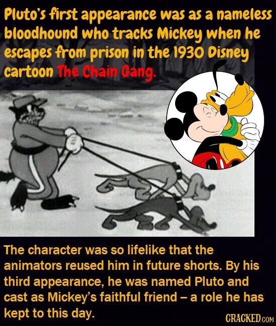 Pluto's first appearance was as a nameless bloodhound who tracks Mickey when he escapes from prison in the 1930 Disney cartoon The Chain Gang. The character was so lifelike that the animators reused him in future shorts. By his third appearance, he was named Pluto and cast as Mickey's faithful friend-a role he has kept to this day. CRACKED.COM