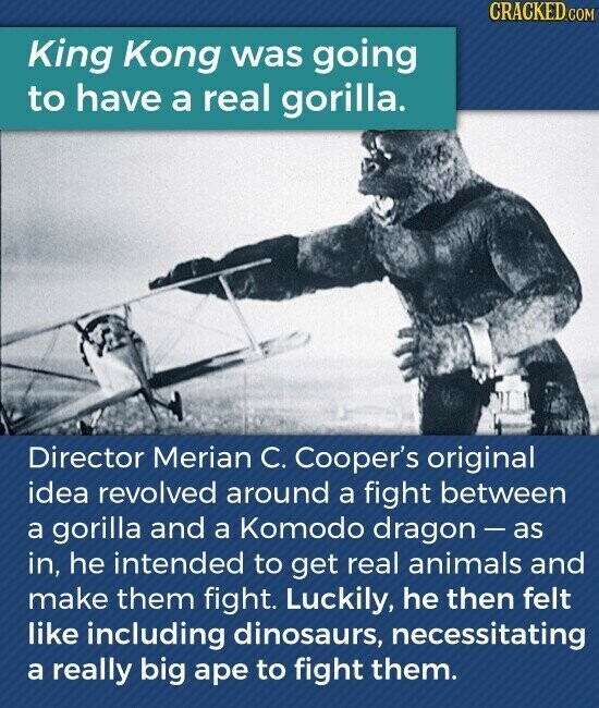 CRACKED.COM King Kong was going to have a real gorilla. Director Merian C. Cooper's original idea revolved around a fight between a gorilla and a Komodo dragon - as in, he intended to get real animals and make them fight. Luckily, he then felt like including dinosaurs, necessitating a really big ape to fight them.