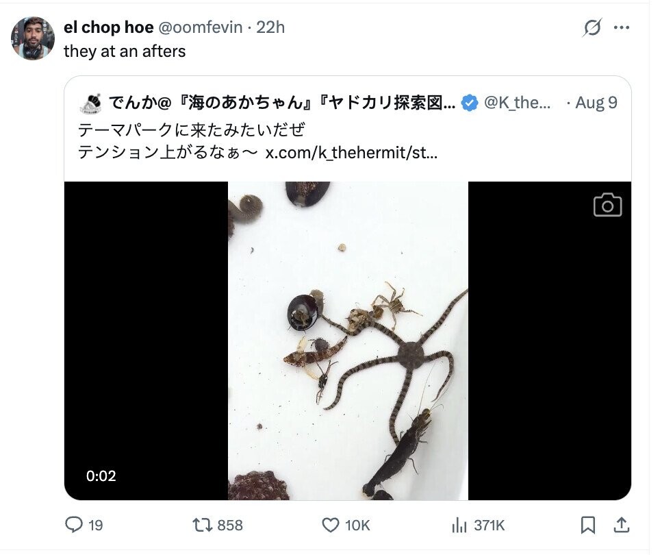 el chop hoe @oomfevin . 22h S ... they at an afters Ths@ @K_the... Aug 9 -2/- ~ x.com/k_thehermit/st... 0:02 19 858 10K del 371K 