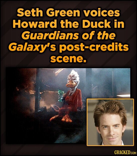 Seth Green voices Howard the Duck in Guardians of the Galaxy's post-credits scene. CRACKED.COM