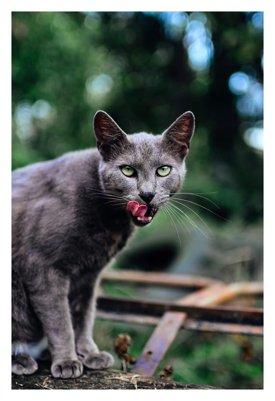 Candid Shots of Life Seen Through a 35mm Lens