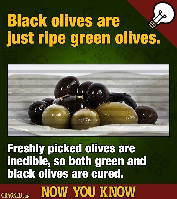 Black olives are just ripe green olives. Freshly picked olives are inedible, so both green and black olives are cured. NOW YOU KNOW CRACKED.COM