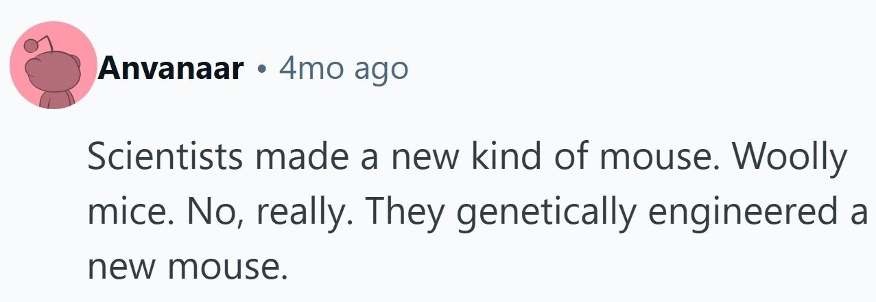 Anvanaar 4mo ago Scientists made a new kind of mouse. Woolly mice. No, really. They genetically engineered a new mouse.