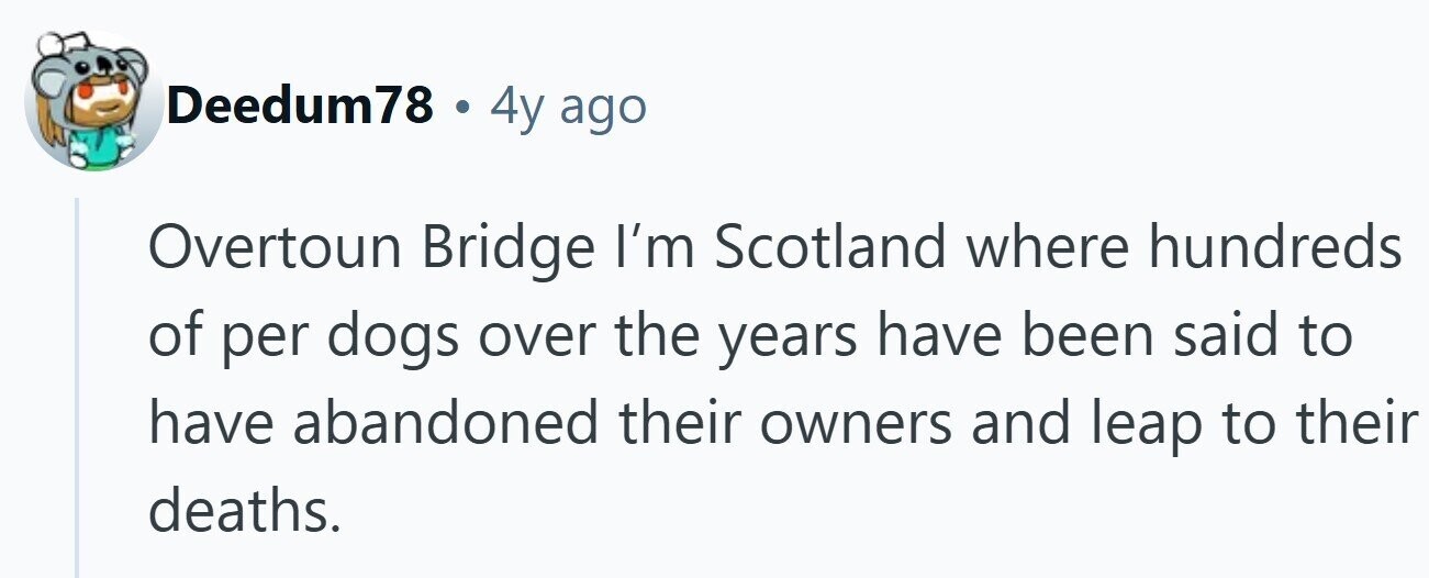 Deedum78 . 4y ago Overtoun Bridge I'm Scotland where hundreds of per dogs over the years have been said to have abandoned their owners and leap to their deaths.