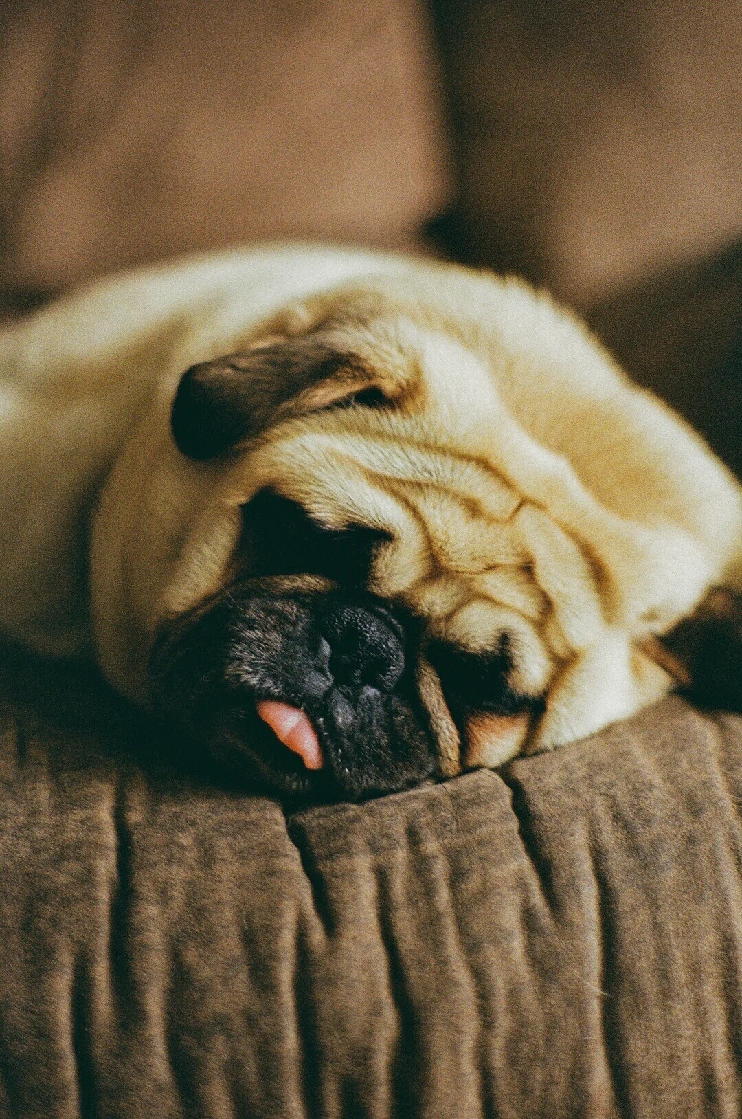 Candid Shots of Life Seen Through a 35mm Lens