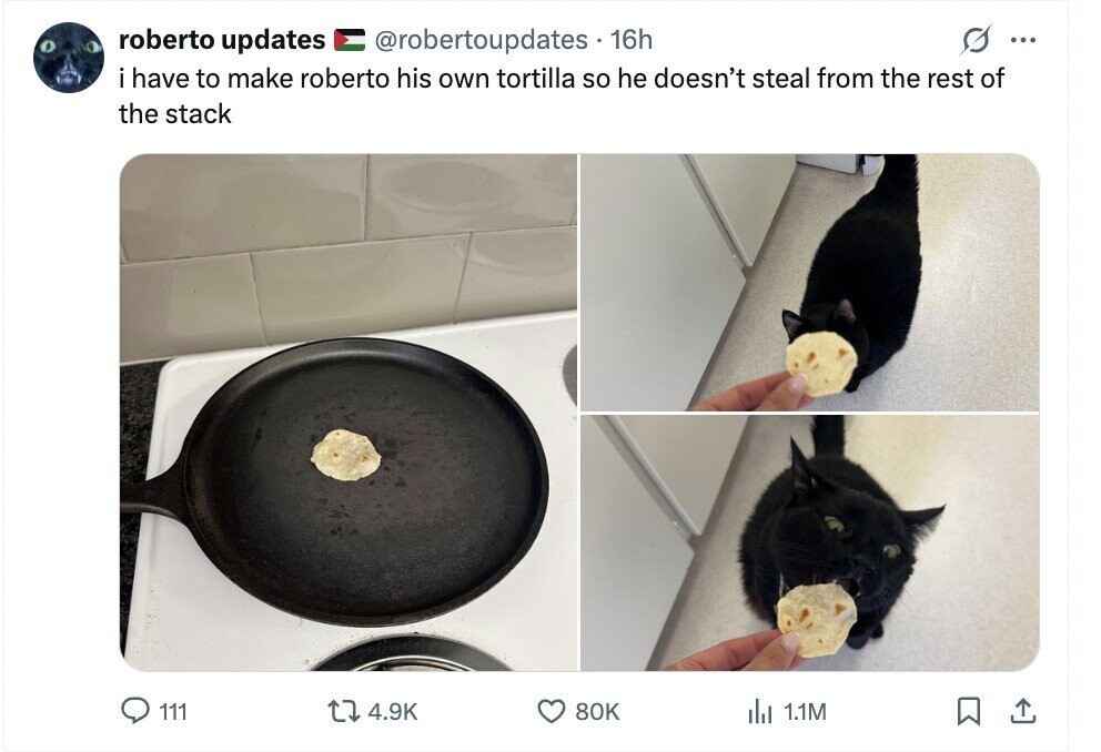 roberto updates s ... @robertoupdates 16h i i have to make roberto his own tortilla so he doesn't steal from the rest of the stack 111 4.9K 80K del 1.1M 