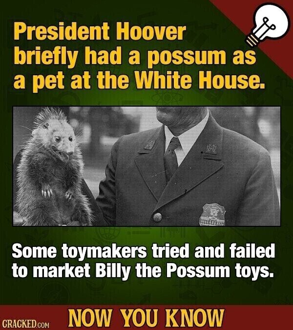 President Hoover briefly had a possum as a pet at the White House. Some toymakers tried and failed to market Billy the Possum toys. NOW YOU KNOW CRACKED.COM