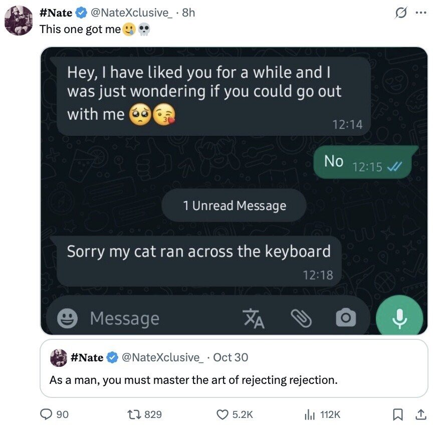 #Nate @NateXclusive_ 8h O ... This one got me Hey, I have liked you for a while and I was just wondering if you could go out with me 12:14 No 12:15 1 Unread Message Sorry my cat ran across the keyboard 12:18 Message ZA #Nate @NateXclusive_ Oct 30 As a man, you must master the art of rejecting rejection. 90 829 5.2K 112K 
