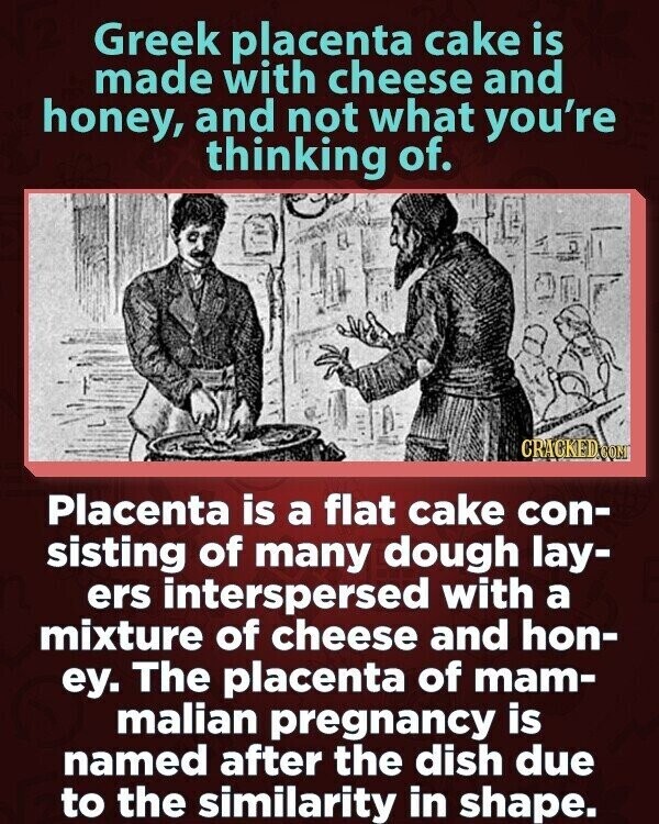 Greek placenta cake is made with cheese and honey, and not what you're thinking of. CRACKED.COM Placenta is a flat cake con- sisting of many dough lay- ers interspersed with a mixture of cheese and hon- ey. The placenta of mam- malian pregnancy is named after the dish due to the similarity in shape.