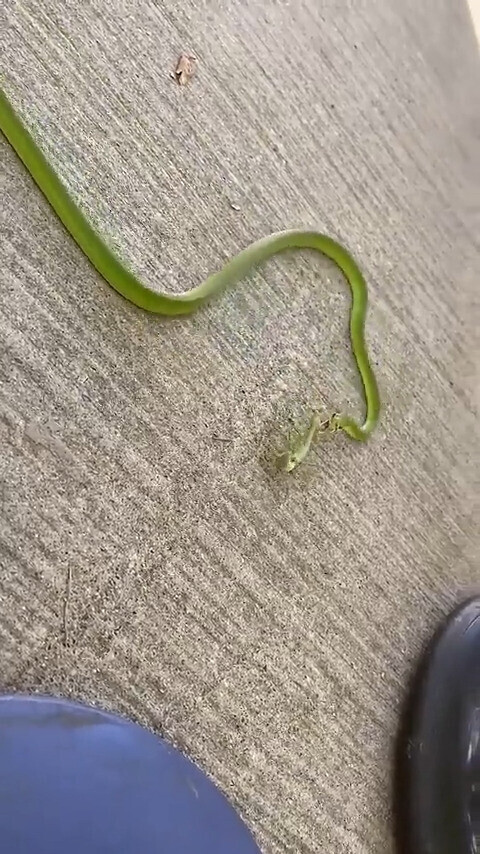 Photos Where Something Came as a Big Surprise