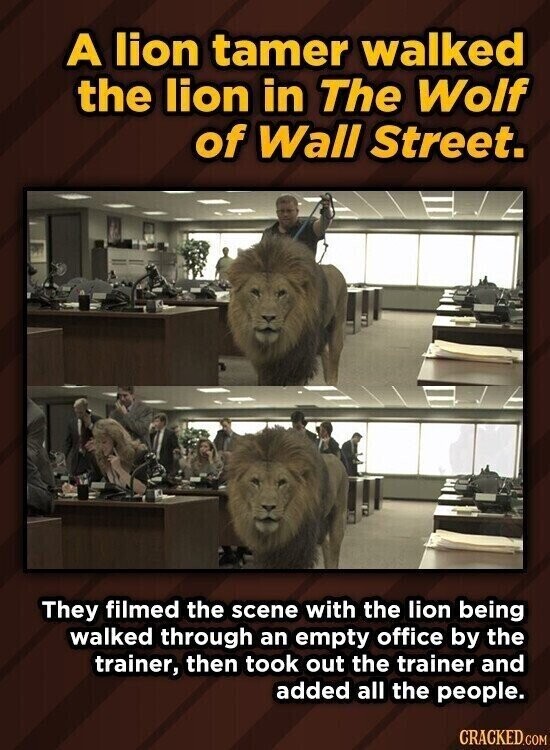 A lion tamer walked the lion in The Wolf of Wall Street. They filmed the scene with the lion being walked through an empty office by the trainer, then took out the trainer and added all the people. CRACKED.COM