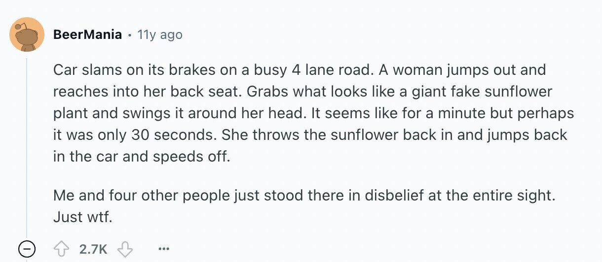 BeerMania 11y ago Car slams on its brakes on a busy 4 lane road. A woman jumps out and reaches into her back seat. Grabs what looks like a giant fake sunflower plant and swings it around her head. It seems like for a minute but perhaps it was only 30 seconds. She throws the sunflower back in and jumps back in the car and speeds off. Me and four other people just stood there in disbelief at the entire sight. Just wtf. - 2.7K ...