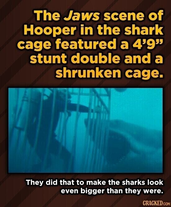 The Jaws scene of Hooper in the shark cage featured a 4'9 stunt double and a shrunken cage. They did that to make the sharks look even bigger than they were. CRACKED.COM