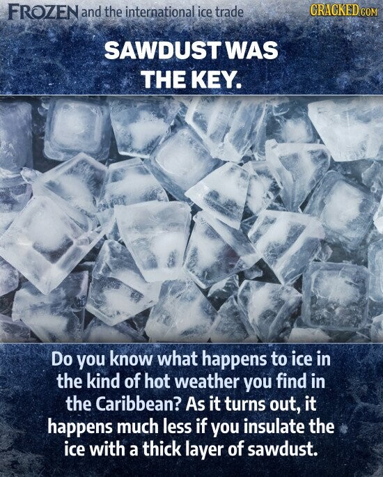 SAWDUST WAS THE KEY. Do you know what happens to ice in the kind of hot weather you find in the Caribbean? As it turns out, it happens much less if you insulate the ice with a thick layer of sawdust.