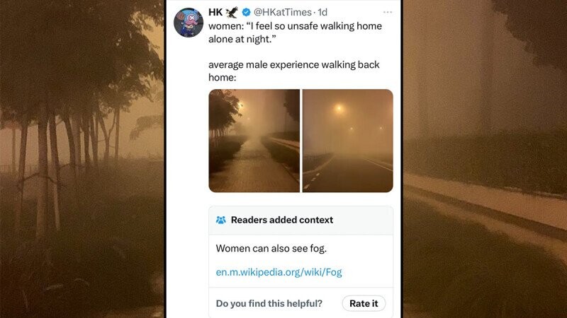 The 29 Funniest Community Notes of 2024