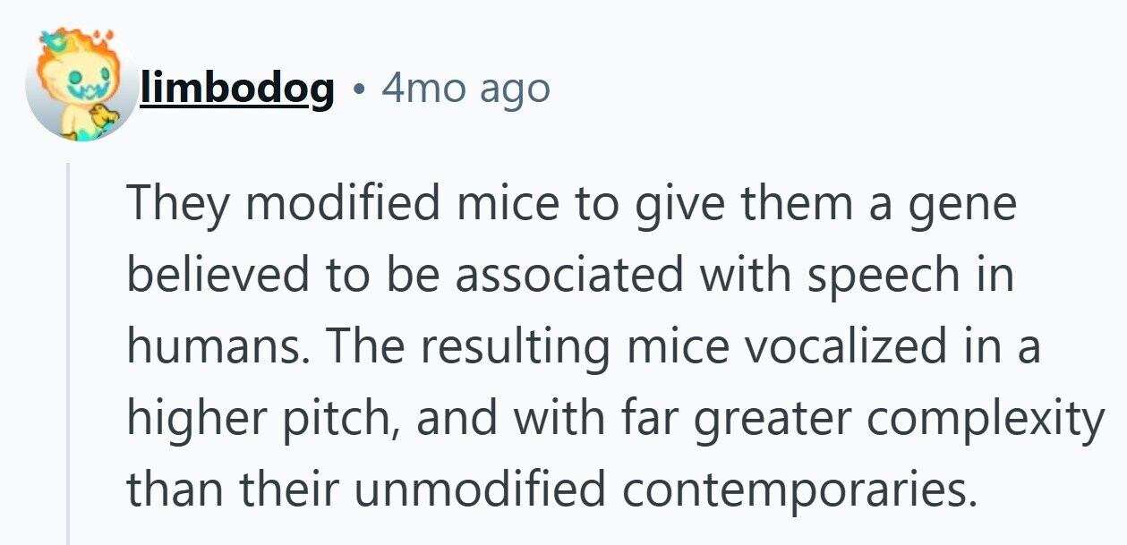 limbodog . 4mo ago They modified mice to give them a gene believed to be associated with speech in humans. The resulting mice vocalized in a higher pitch, and with far greater complexity than their unmodified contemporaries.