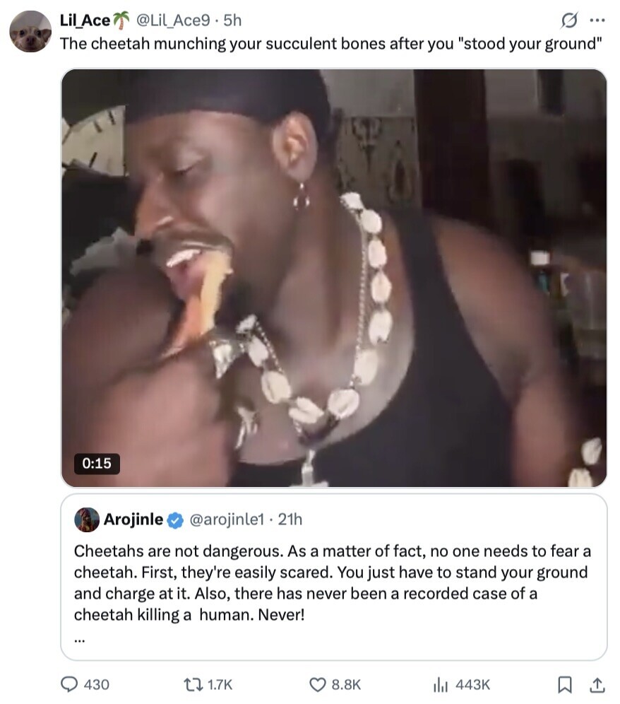 @Lil_Ace9 . 5h G ... Lil_Ace The cheetah munching your succulent bones after you stood your ground 0:15 Arojinle @arojinle1 . 2 21h Cheetahs are not dangerous. As a matter of fact, no one needs to fear a cheetah. First, they're easily scared. You just have to stand your ground and charge at it. Also, there has never been a recorded case of a cheetah killing a human. Never! ... 430 1.7K 8.8K 443K 