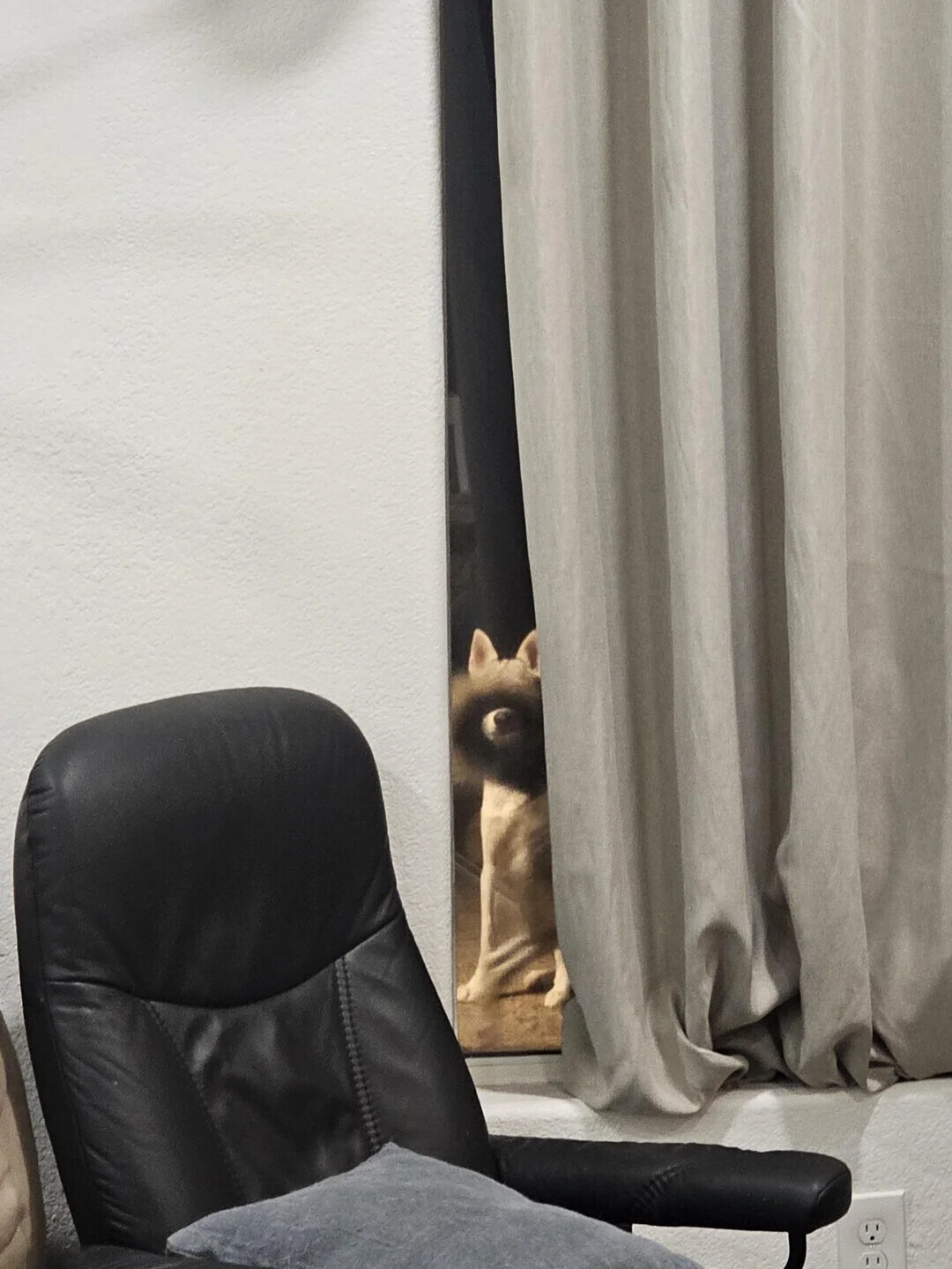 Photos Where Something Came as a Big Surprise