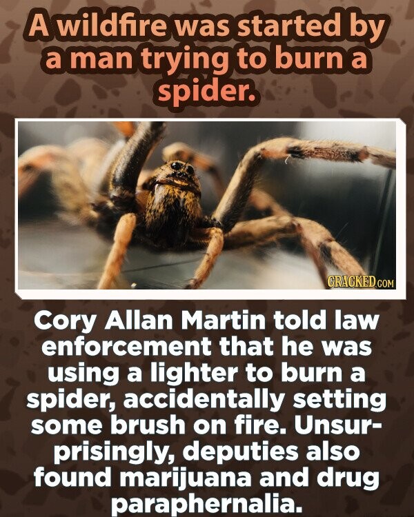 A wildfire was started by a man trying to burn a spider. CRACKED.COM Cory Allan Martin told law enforcement that he was using a lighter to burn a spider, accidentally setting some brush on fire. Unsur- prisingly, deputies also found marijuana and drug paraphernalia.