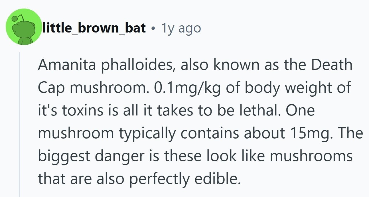 1y ago Amanita phalloides, also known as the Death Cap mushroom. 0.1mg/kg of body weight of it's toxins is all it takes to be lethal. One mushroom typically contains about 15mg. The biggest danger is these look like mushrooms that are also perfectly edible.
