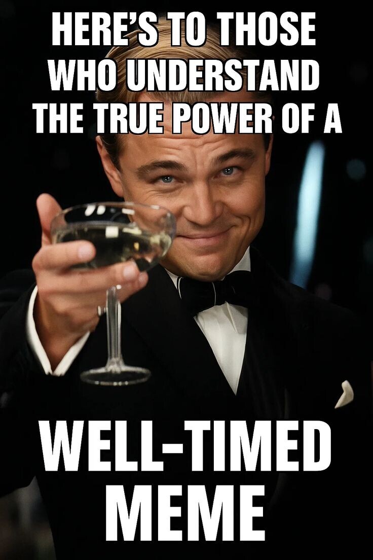 HERE'S TO THOSE WHO UNDERSTAND THE TRUE POWER OF A WELL-TIMED MEME