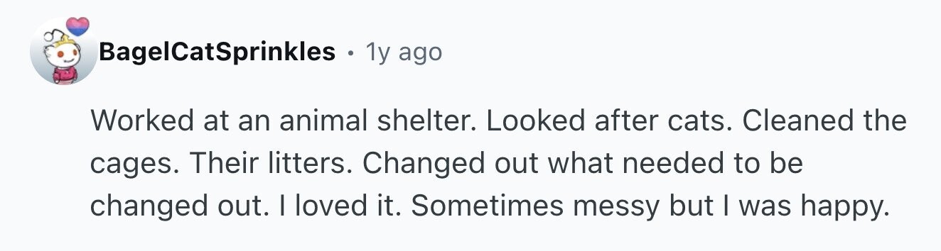 BagelCatSprinkles . 1y ago Worked at an animal shelter. Looked after cats. Cleaned the cages. Their litters. Changed out what needed to be changed out. I loved it. Sometimes messy but I was happy.