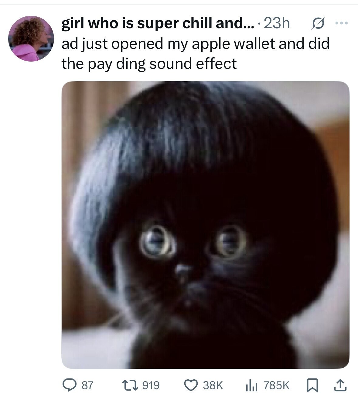 s ... girl who is super chill and... 23h ad just opened my apple wallet and did the pay ding sound effect 87 38K 919 785K 