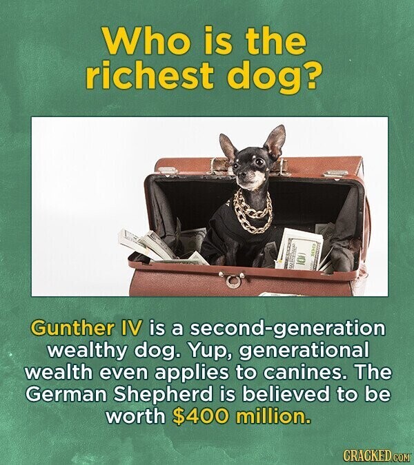 Who is the richest dog? 100 100 Gunther IV is a second-generation wealthy dog. Yup, generational wealth even applies to canines. The German Shepherd is believed to be worth $400 million. CRACKED COM