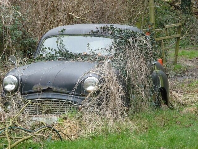 Cars Parked, Abandoned Or Wrecked In Wild Places